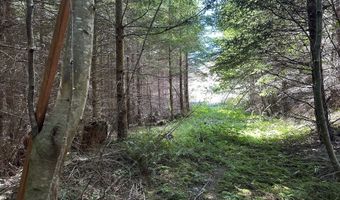 Glenn Creek Rd 300, Allegany, OR 97407