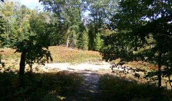 V/L 30AC Lake Winyah Road, Alpena, MI 49707