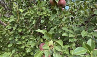 114 Oliver Rd, Alamogordo, NM 88310