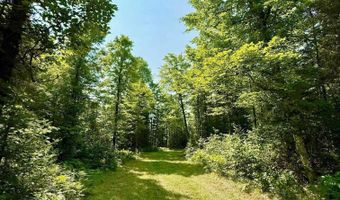 TBD Net River, Amasa, MI 49903