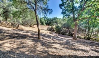 336 Catalpa Ln, Angels Camp, CA 95222