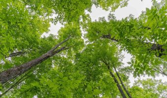 TBD Fishing Site # 2, Amasa, MI 49903