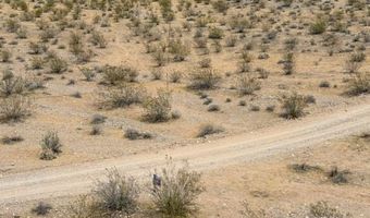 4755 Gold Butte Rd, Bunkerville, NV 89007
