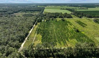 00 50th Ave, Bell, FL 32619