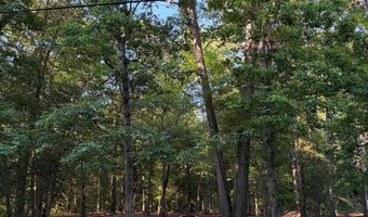 MAHAN CORNER Road, Marydel, DE 19964