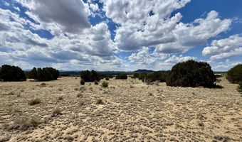 17 County Road N8034, Concho, AZ 85924