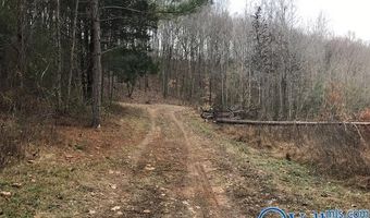 6777 Hwy 207, Anderson, AL 35610