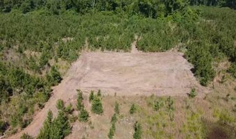 Attadale Rd lot 3, Blenheim, SC 29516