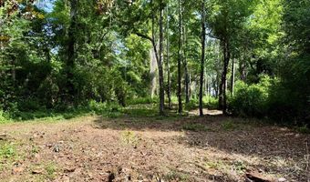 1243 Silcox Rd, Ashford, AL 36312