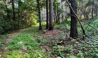 Parcel 3 WARD LINE Road lot Par 3, Bogalusa, LA 70427