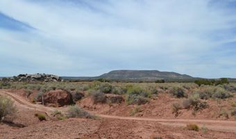 N8577 18, Concho, AZ 85924