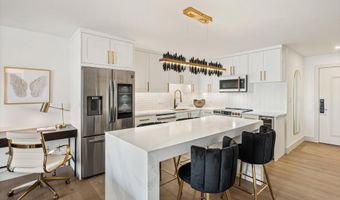 205 E Durant Ave Unit 1G, Aspen, CO 81611