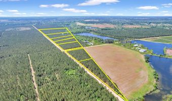 Tract 1 Sanderling, Alma, GA 31510