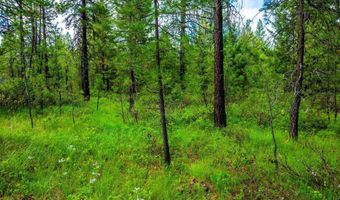 Nna Smoke Tree Ave, Athol, ID 83801