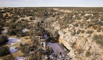 000 County Road 40.2 Poitry Canyon Ranch, Branson, CO 81027