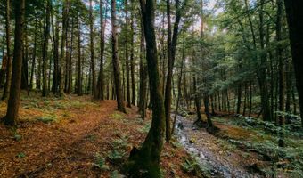 0 Weidick Rd, Andes, NY 13731