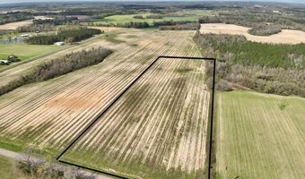 15 Acres Antioch Church Rd, Ashford, AL 36312