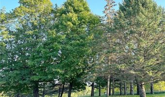 3665 Pleason Ave NW, Annandale, MN 55302