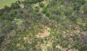 Tbd FM 600, Anson, TX 79501