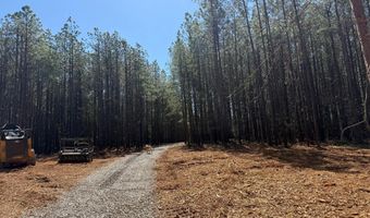 MOUNTAIN CUT RD lot D, Appomattox, VA 24522