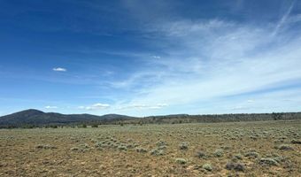 Oregon Pines Road TL 2000, Beatty, OR 97621