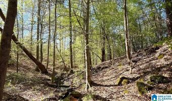LANDFILL ROAD lot 1, Ashland, AL 36251