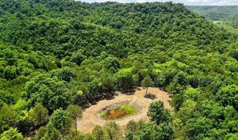 2926 Bryant Ridge Rd, Baxter, TN 38544