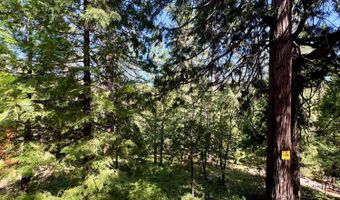 1647 Gertrude Way, Arnold, CA 95223