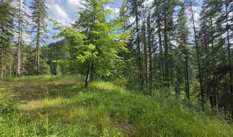 480 Dunn Peak Rd, Avery, ID 83802