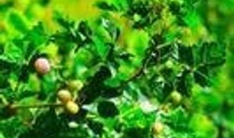 488 Rock House, Bennington, OK 74723