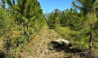 00 50th Ave, Bell, FL 32619