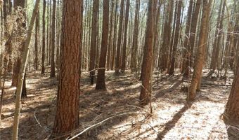 Tbd Oakland Avenue, Asheboro, NC 27205
