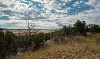 TBD Hwy 246, Capitan, NM 88316