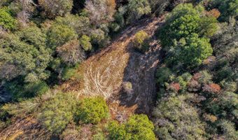 0 County Road 127, Banks, AL 36005