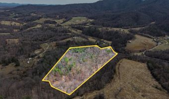 Puppy Creek, Amherst, VA 24521