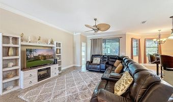 335 COCKLE SHELL Loop, Apollo Beach, FL 33572