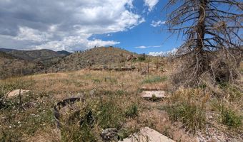439 Redtail Ridge Way, Bellvue, CO 80512
