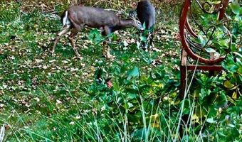 137 Pleasant Valley Rd, Brattleboro, VT 05301