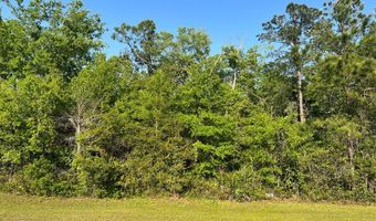 135 Water Oaks Way, Apalachicola, FL 32320