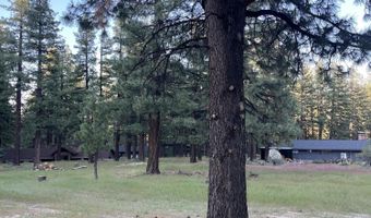 4300 Meadow Wood Rd, Carson City, NV 89703