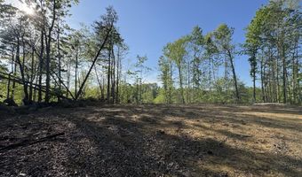 Tbd Green Springs Road, Abingdon, VA 24211