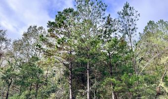 Lot B RIDGE Road, Appling, GA 30802