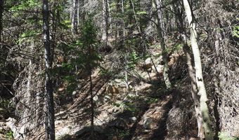 0 Gamble Gulch, Black Hawk, CO 80422