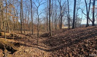 205 Hemsath Rd, Augusta, MO 63332
