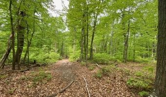 NEW MOUNTAIN Road, Aldie, VA 20105