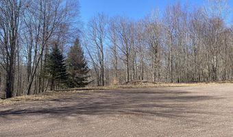 L22.2 Alder Pond Road, Andes, NY 13740