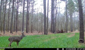 425 Rose Hill Rd, Bentonia, MS 39040