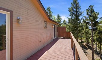 212 Elk Pl, Black Hawk, CO 80422