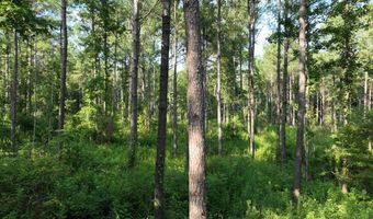 0 Hwy 14, Aliceville, AL 35442