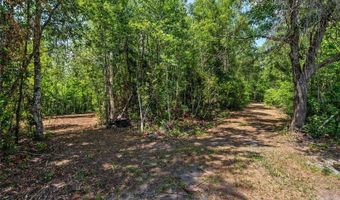 4814 NW 244 Ave, Alachua, FL 32615
